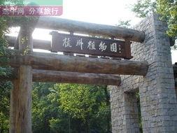 杭州植物园最新爆料,探秘植物界的“隐秘宝藏”