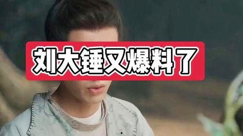 八卦爆料刘大锤视频,刘大锤视频背后的惊人真相