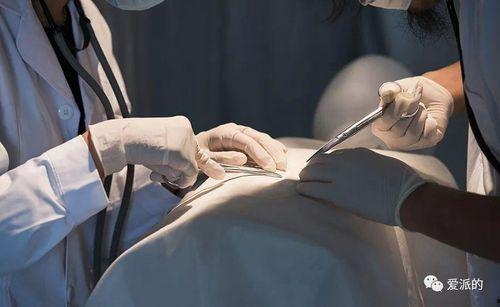 爆料癌症病人视频大全最新,视频大全背后的感人故事